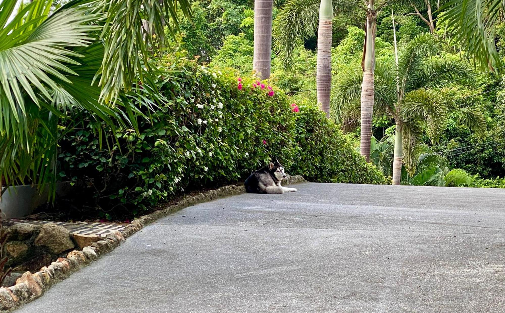 Ko Samui Seaview Pool Villa Seren With Car Laem Set Beach Dış mekan fotoğraf